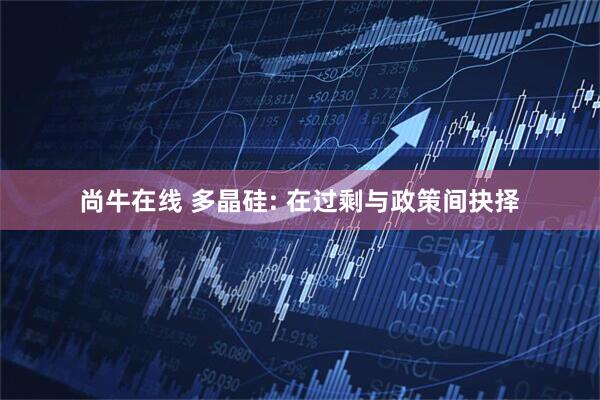 尚牛在线 多晶硅: 在过剩与政策间抉择