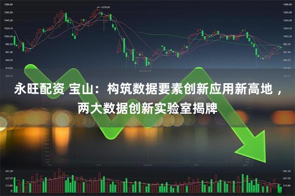永旺配资 宝山：构筑数据要素创新应用新高地 ，两大数据创新实验室揭牌