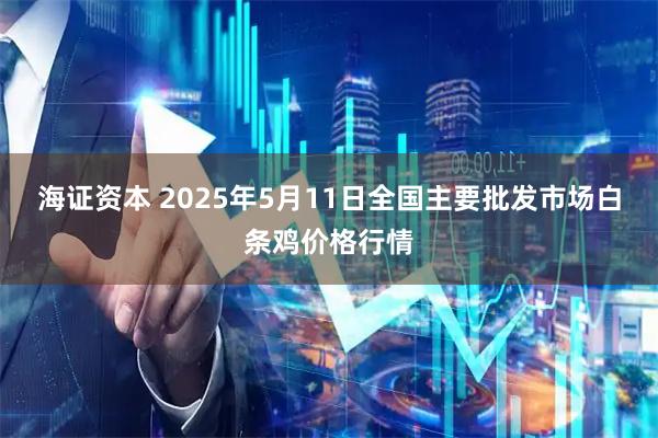 海证资本 2025年5月11日全国主要批发市场白条鸡价格行情