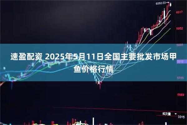 速盈配资 2025年5月11日全国主要批发市场甲鱼价格行情