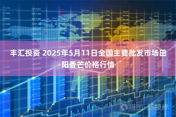 丰汇投资 2025年5月11日全国主要批发市场田阳香芒价格行情